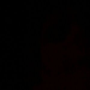 Meet your Posher, Alexa